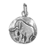 Save the Planet Charm - Elephant