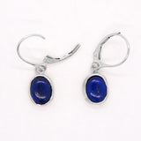 Lapis Lazuli Dangle earrings